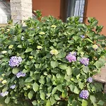 G&g1 Con Giardino Privato