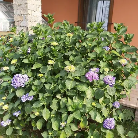 G&g1 Con Giardino Privato